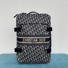 디올 DIOR 21SS 남여공용 오블리크 캐리어 DR658